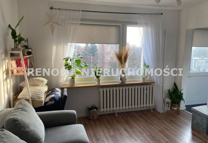 Jasna kuchnia - kawalerka - piaskowa góra