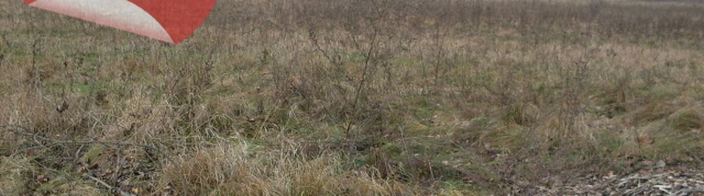 Teren inwest. 3211 m² – zabudowa usługowa/przem.