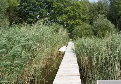 Działka na sprzedaż 1000m2