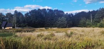 Działka pod twój wymarzony dom w leśnej scenerii