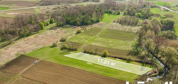 Dostęp do rzeki| zielona rozwijająca się okolica