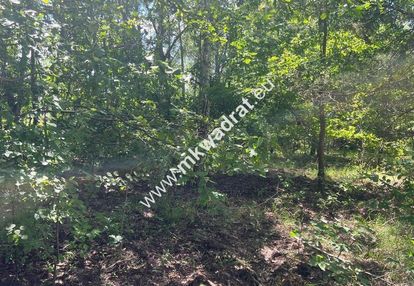 Działka budowlana 3218 m2 radonie z mpzp okazja