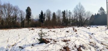 Działka 8a otulona zielenią – jeleśnia czeka!