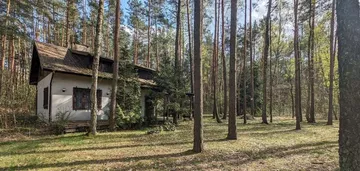Dom 150m2 na działce z lasem (2175m2) Adamów Wieś