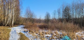 Duża działka w sąsiedztwie lasu i rozlewiska