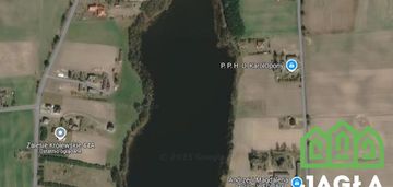 Dziłki w pierwszej lini brzegowej zalesie królews.