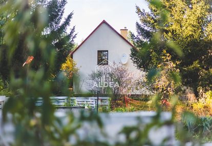 Dom marzeń otoczony lasem bez sąsiadów