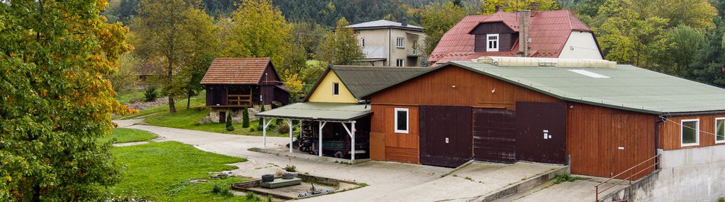Burzyn - gospodarstwo, dom, ziemia, las (12,74 ha)
