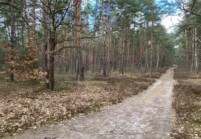 Działka budowlana w parku krajobrazowym