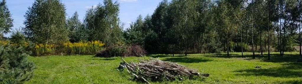 Działka teodorów pod zabudowę jednorodzinna