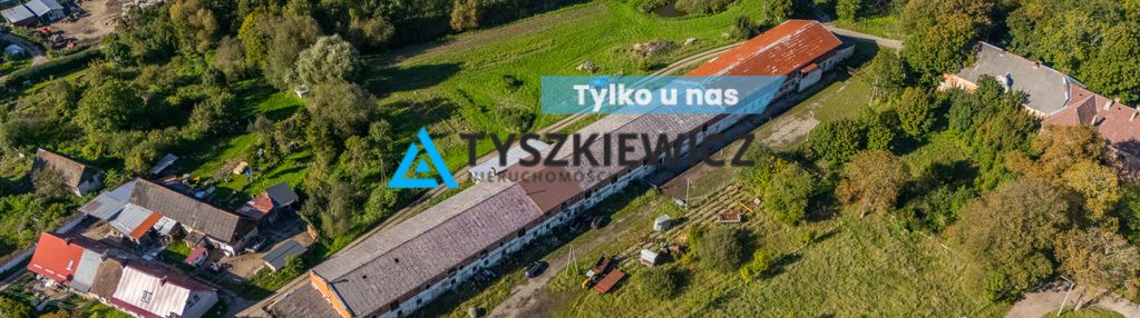 Duża stajnia - budynek gospodarczy żelazo