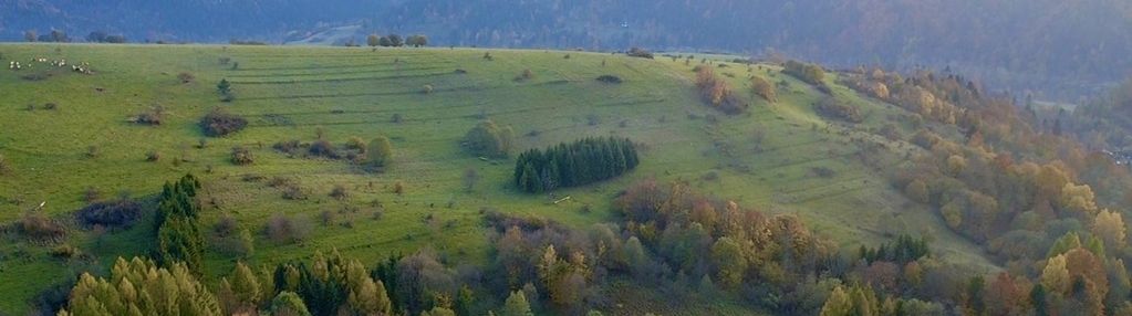 Działka rolna widokowa szczawnica