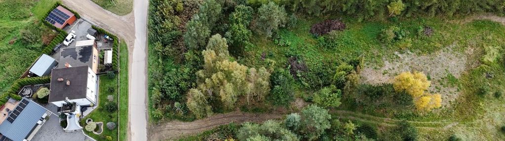 Przyjaźń ul jeziorna - działka z drzewami.