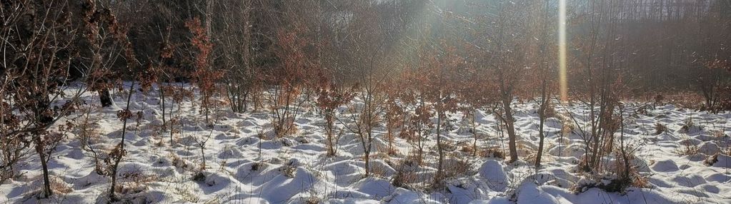 6 km od wieliczki, 3 malownicze działki budowlane