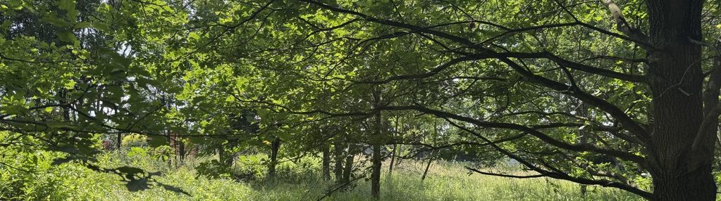 Budowlane działki w tarnowie  k/ czarnej drogi