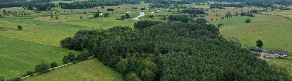 Domek ukryty w małym lesie, blisko rzeki, cieciory gm. turośl