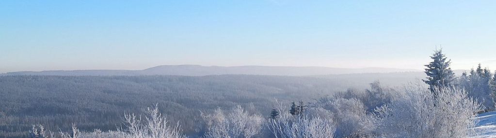 Działka budowlana w zieleńcu.