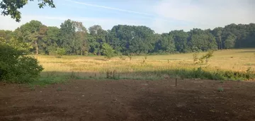 Działka na sprzedaż 1000m2