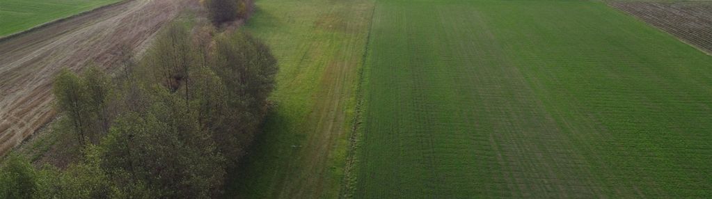 Działka w m. wrońska gm. załuski