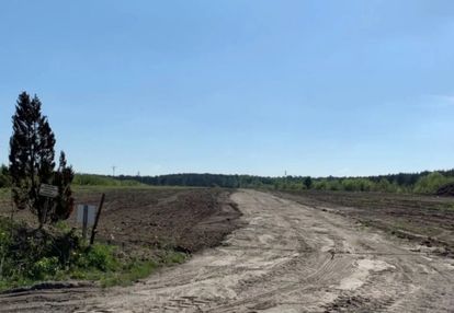 Działka 5,5ha, konstantynów łódzki
