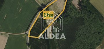 Działka z linią brzegową rzeki gąsawki