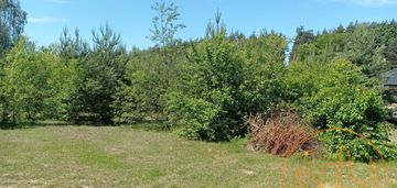 1500 m2 w lipowie pod mpzp