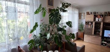 2 pokoje | balkon | piwnica | kokoszki