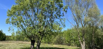 Działka siedliskowa w pustelniku