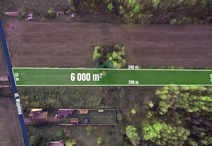 Duża działka w otoczeniu lasów