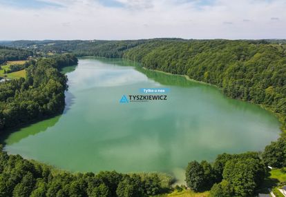 Dom wolnostojący blisko jeziora przywidz
