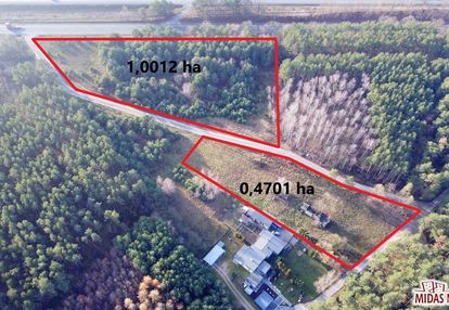 Działka w otoczeniu lasu
