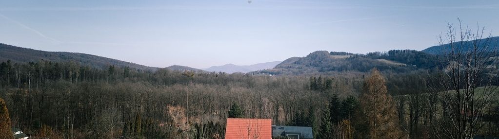 Działka budowlana pod lasem