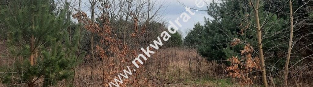 Działka w dobrej lokaliz. żabia wola oddział mpzp
