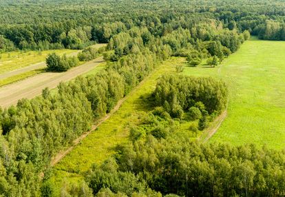 Działka rolna 71 arów bidoliny radłowskie