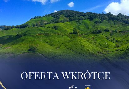 Cicha i spokojna okolica | 81,2 a