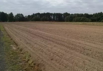 Działka na sprzedaż 1000m2