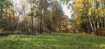 Działka rekreacyjna nad narwią - 1h od warszawy