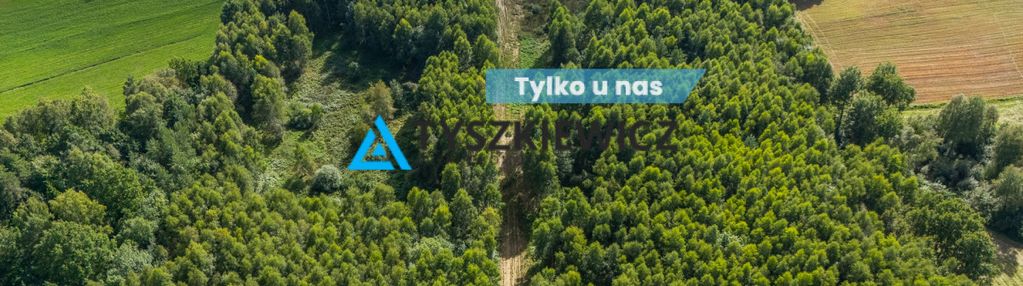 Nieruchomość rolna/zalesiona, inwestycyjna.