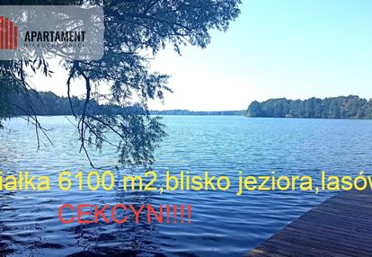 Działka cekcyn obok lasu, jezior ,budowlana !