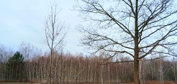 Zielona okolica-działka budowlana