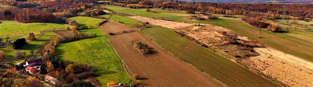 Działka rolna - lipa, gm. bolków