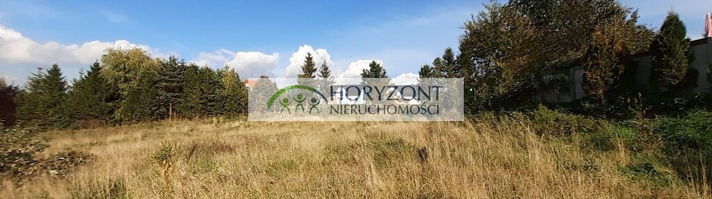 Czaple - dwie działki do wyboru