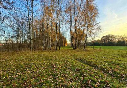 Działka bud-rolna łomnica -2,47 ha