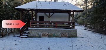 Dom w lesie z linią brzegową jeziora