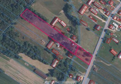 Działka 6700m2 na sprzedaż z siedliskiem