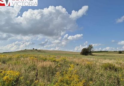 Działka w strudze bez zabudowań w sąsiedztwie.