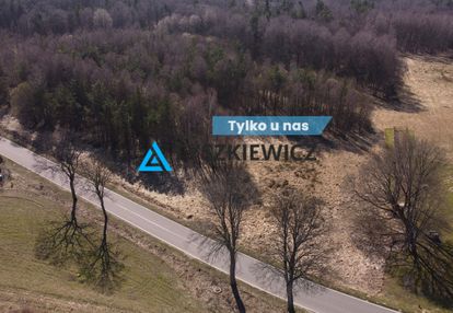 Działki pod lasem w miłocicach