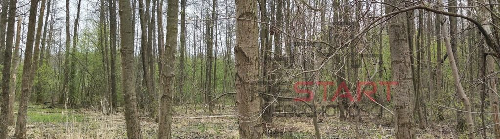 Usługi turystyki, rekreacji, sportu