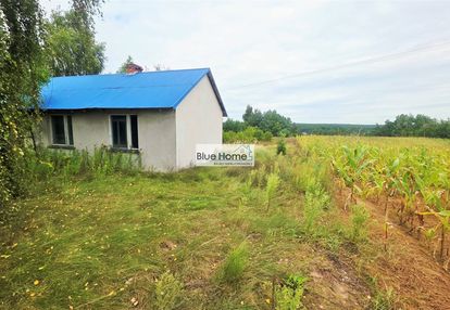 Dom na sprzedaż w pięknej okolicy - ciechocin