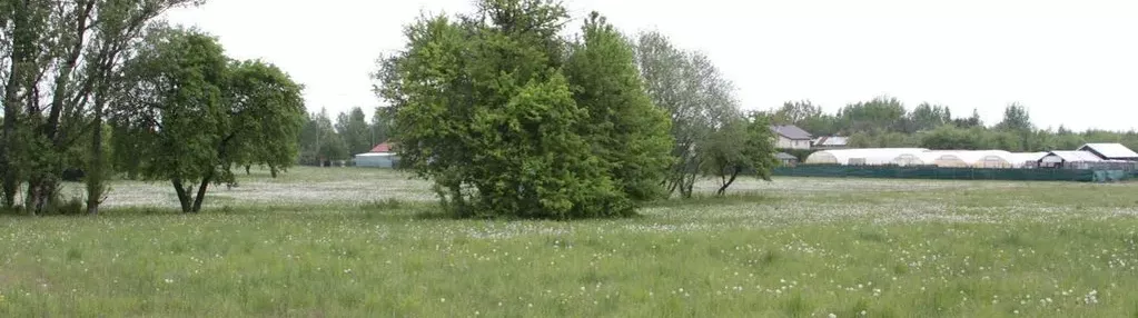 Działka na sprzedaż 1000m2